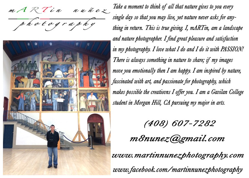 bc-diegos-fresco-5x7