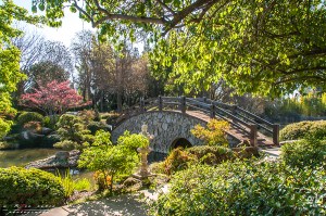 Shinzen Japanese Garden
