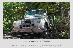 San Diego Zoo Safari Park