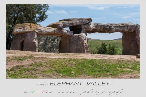 San Diego Zoo Safari Park