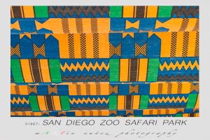 San Diego Zoo Safari Park