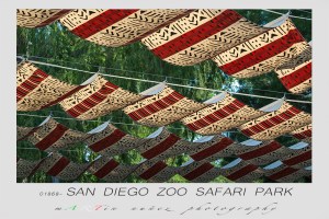 San Diego Zoo Safari Park