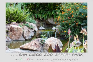 San Diego Zoo Safari Park