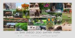 San Diego Zoo Safari Park