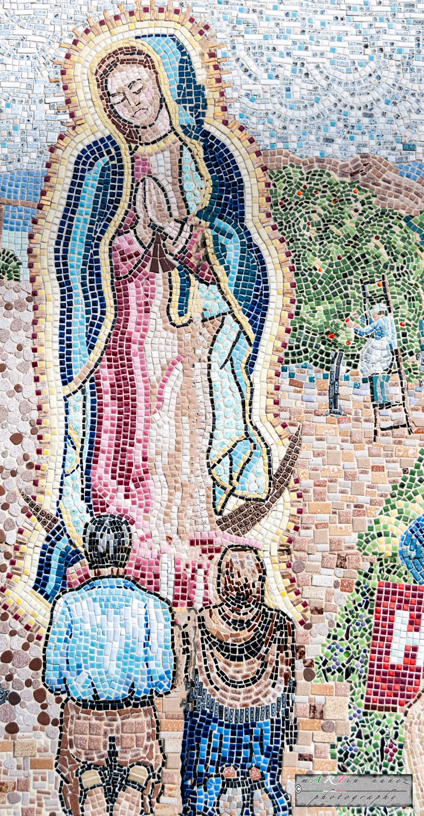 10-_DSC1067 10---...