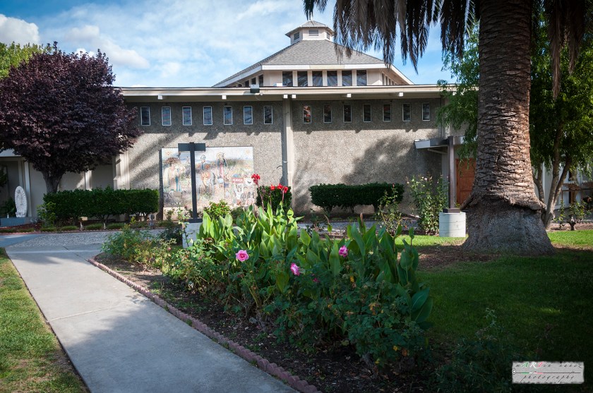 12-_DSC1064 12---...