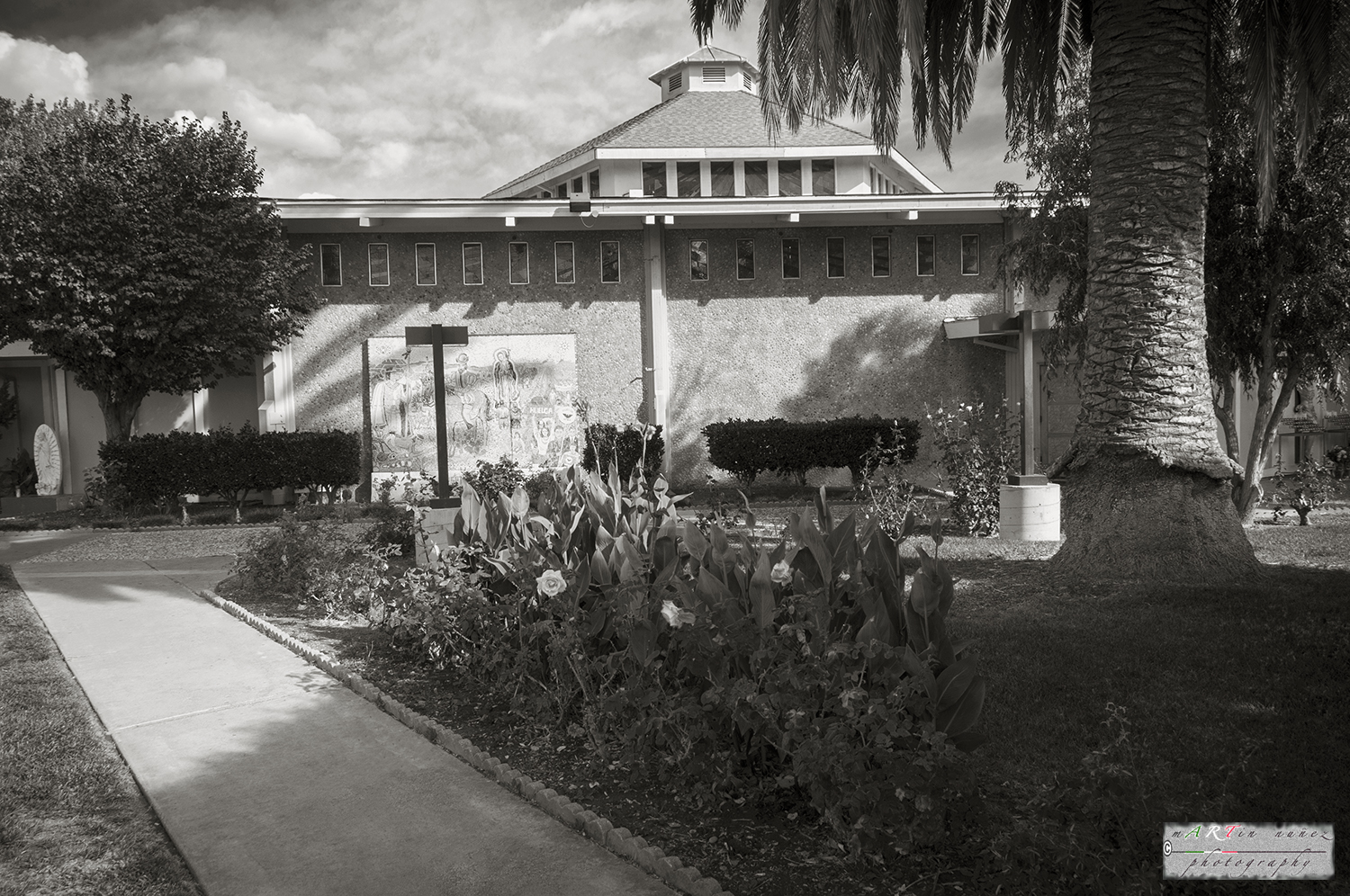 13-_DSC1064 13---...