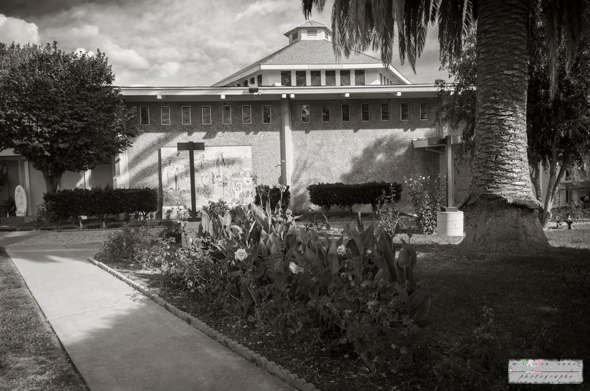 13-_DSC1064 13---...