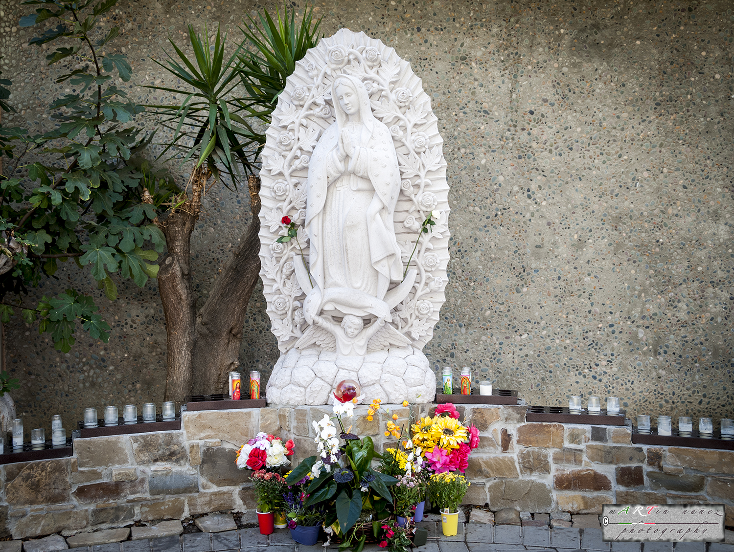 17-_DSC1099 17---...