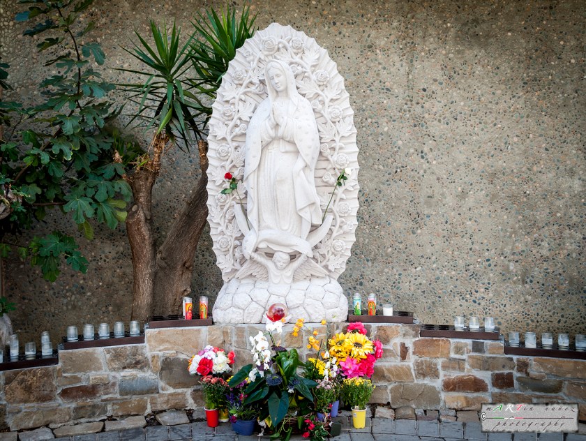 17-_DSC1099 17---...