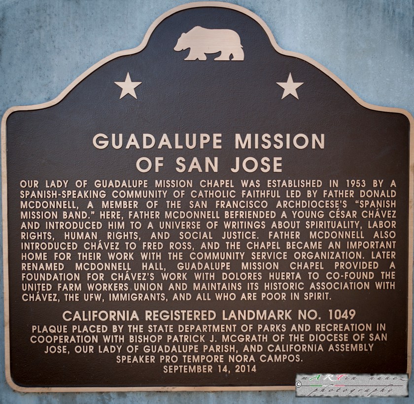 18-_DSC1130 18---...