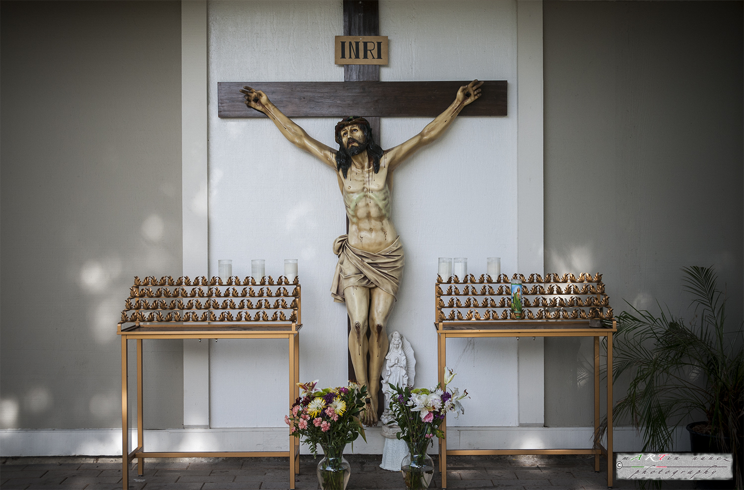 21-_DSC1164-1 21---...