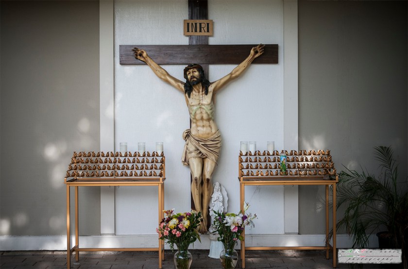 21-_DSC1164-1 21---...