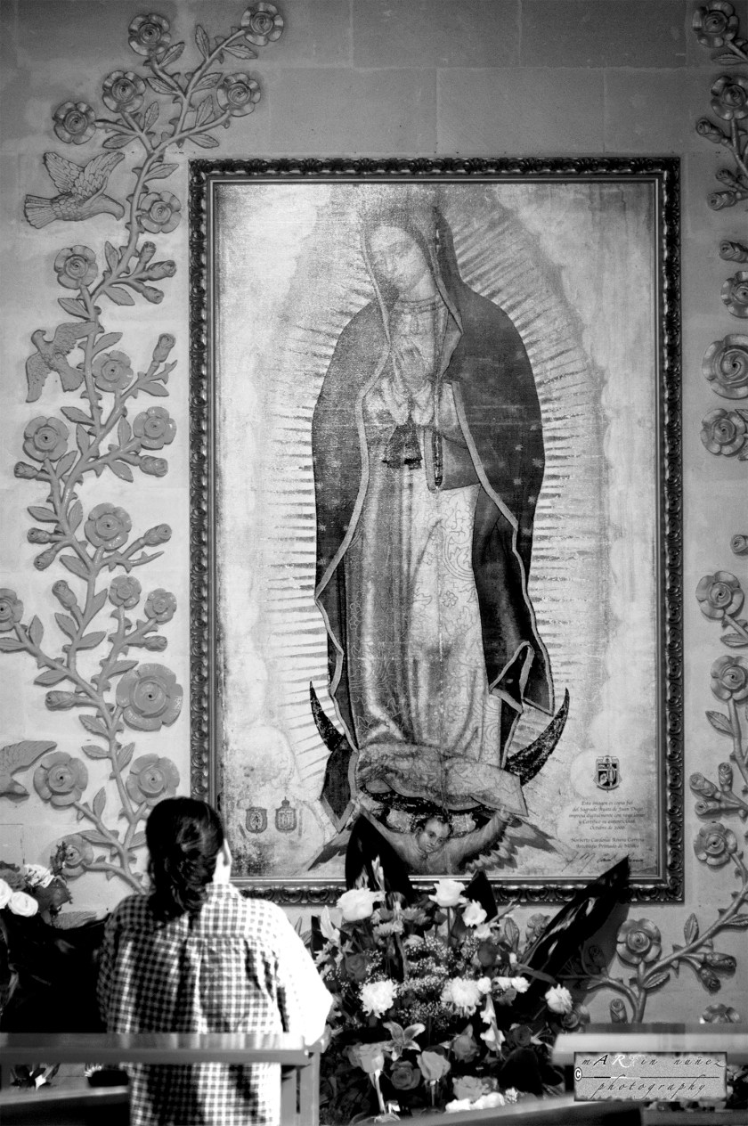 22-_DSC1183-3 22---...