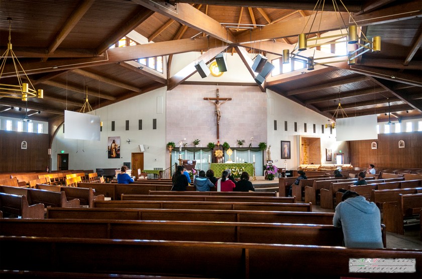 23-_DSC1172-1 23---...