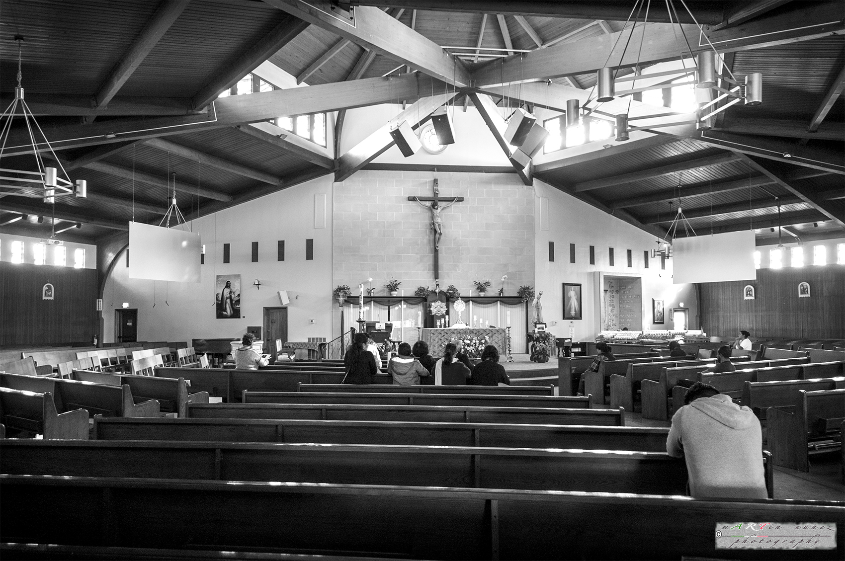 24-_DSC1172-1 24---...