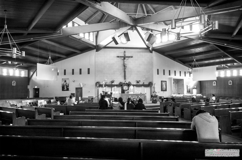 24-_DSC1172-1 24---...