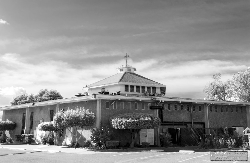 26-_DSC1134-1 26---...