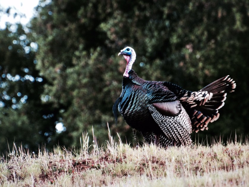 835A5355-7E5C-4B88-94CB-477FA729A608