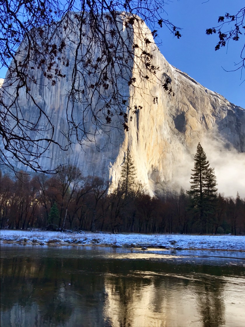 D6676AF5-BEF8-43FC-A17C-D838A65B3CC1