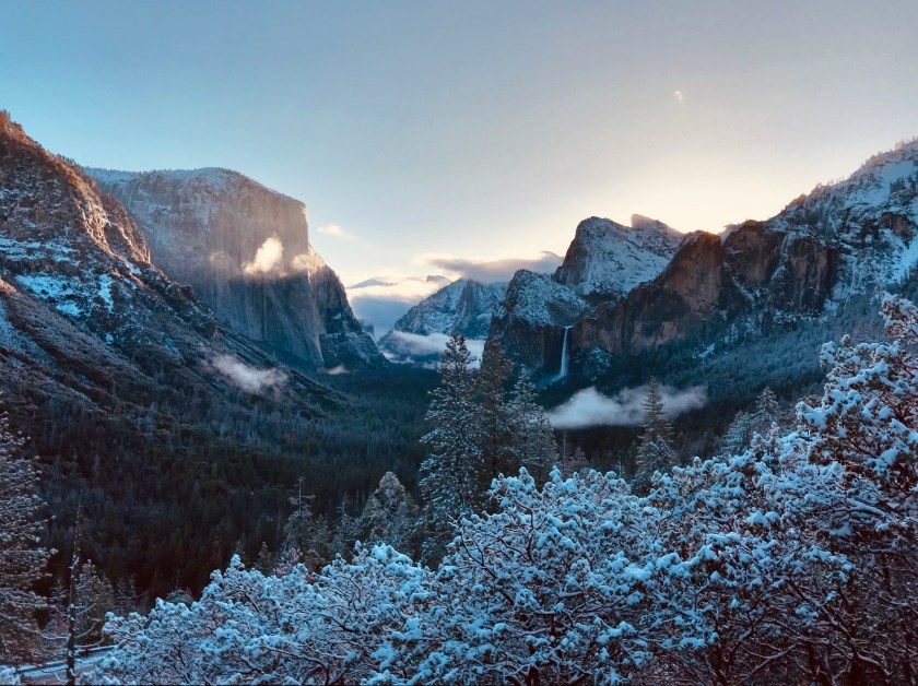 FF3F354A-B566-416A-BE45-3B33562FBEE8