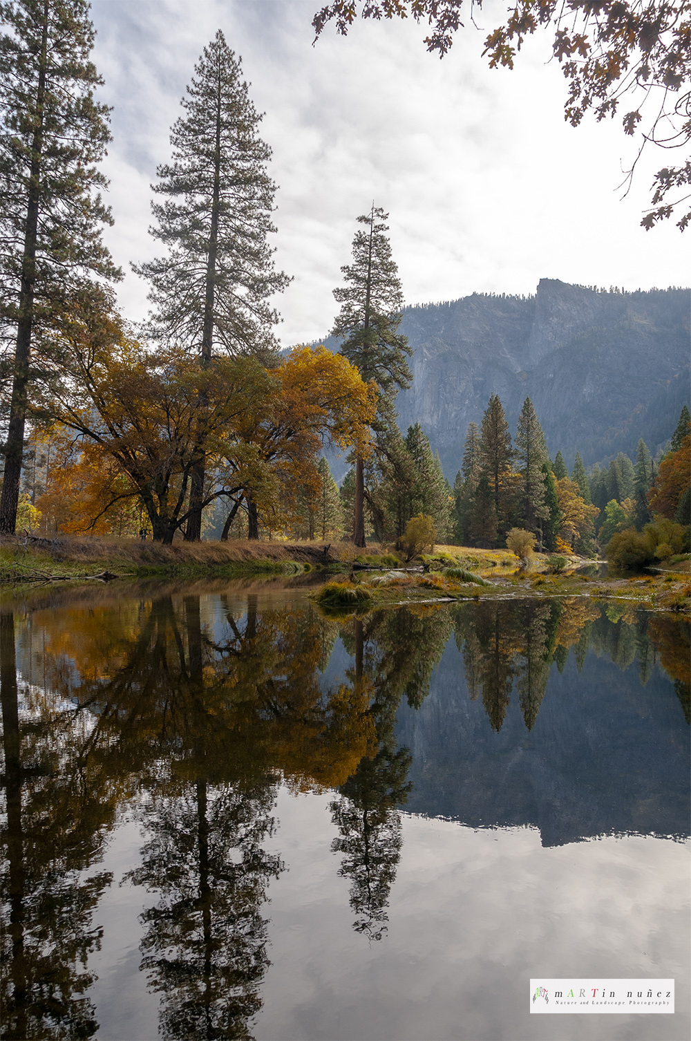 02472 Fall colors Yosemite National Park