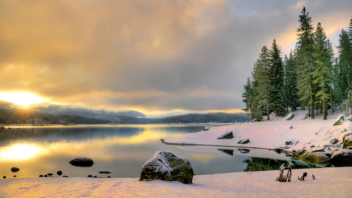 Nature To The&nbsp;Rescue.