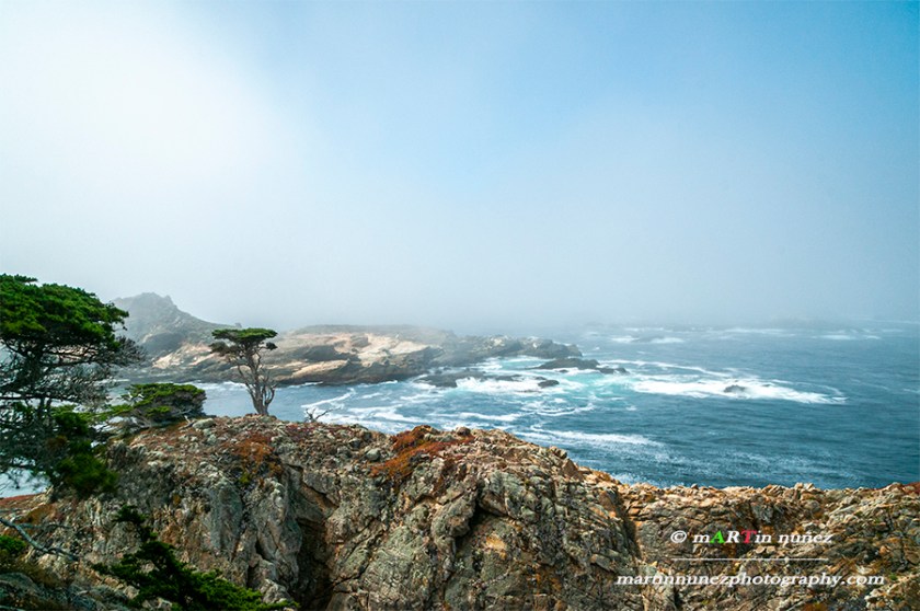 Point Lobos