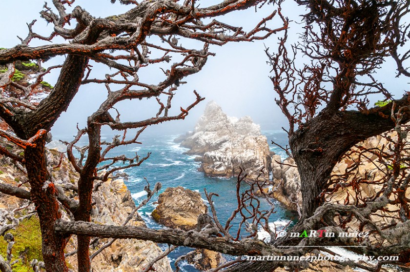 Point Lobos
