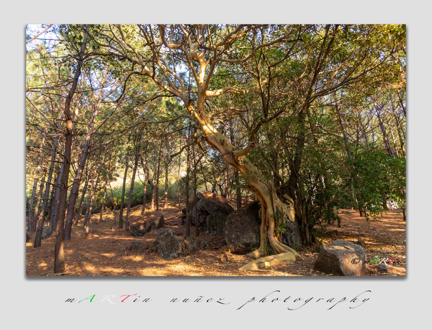 02902 Las Penas parque ecologico Ciudad Guzman,Jalisco Mexico