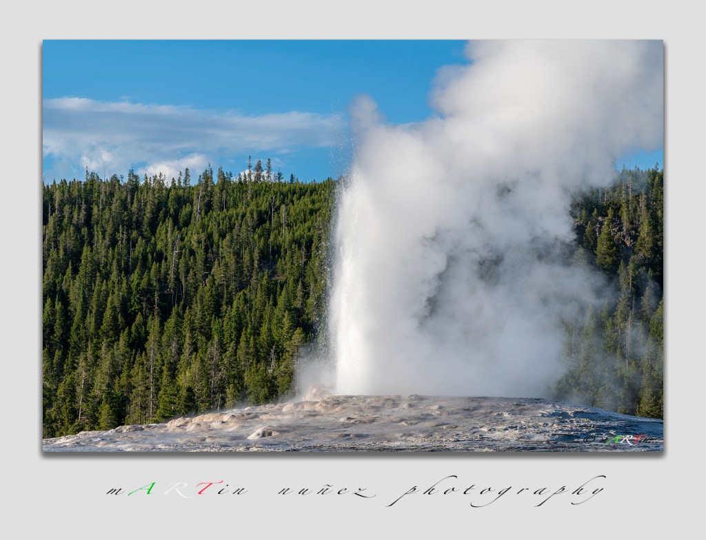 02875 Old Faithful Geyser Yellowstone National Park